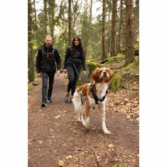 V4H54EE2D57DB6DD406B4E7C76601E02E9DR5293585P3