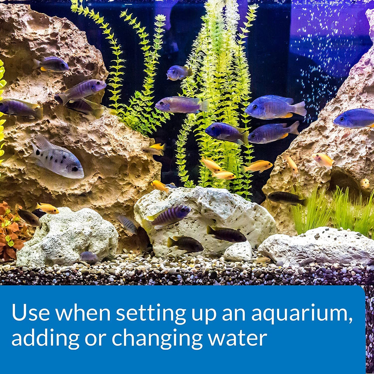 Tap Water Conditioner for Aquariums, 1 oz Bottle