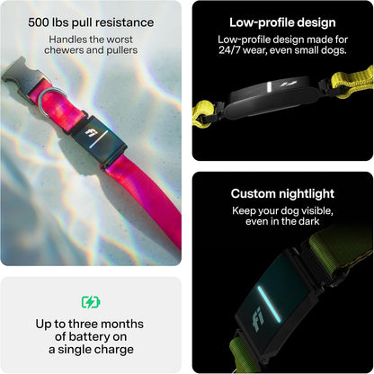 Fi Series 3+ Smart GPS Dog Tracker Collar Health Monitor Waterproof LED
