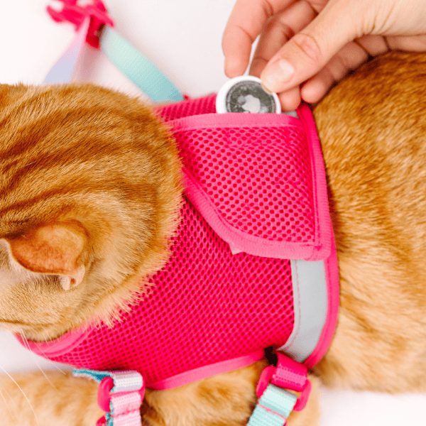 Stasia cat harness and leash set — additional photo 10