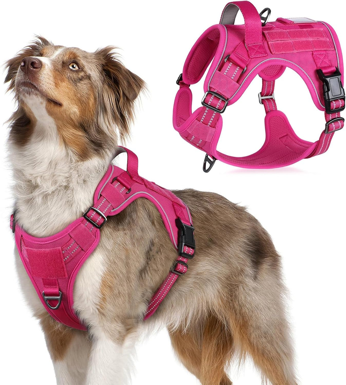 MOLLE Tactical No-Pull Dog Harness, Medium to Large