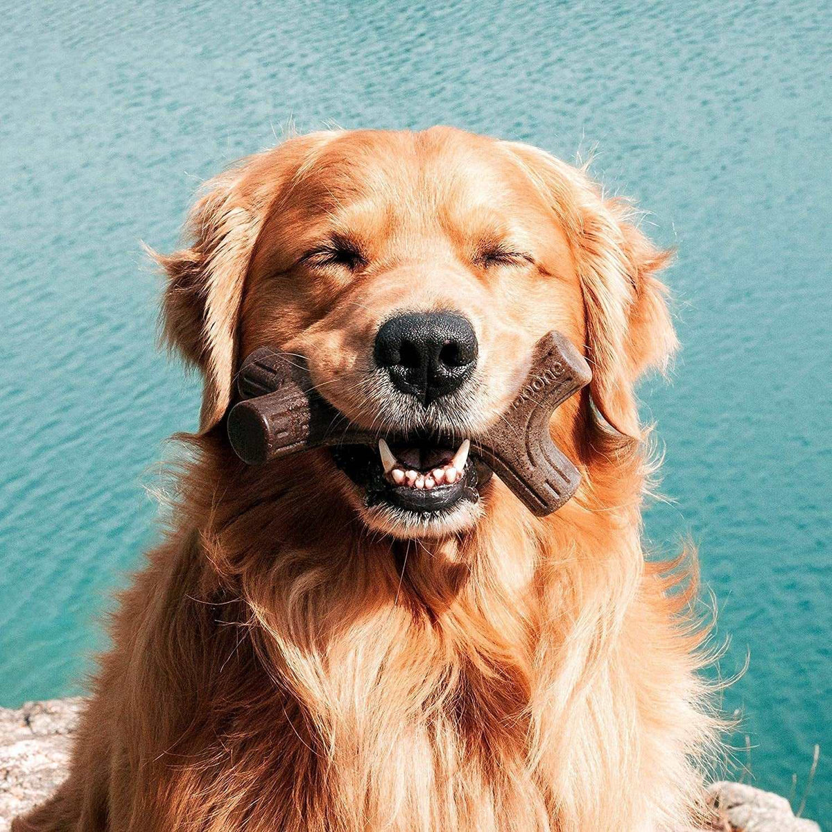 Maplewood Chew Toy for Aggressive Chewers