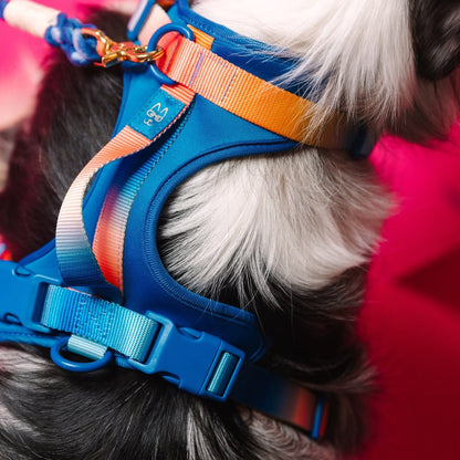 Atlas dog harness — additional photo 4