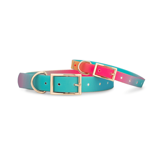 Pippa – Ombre Dog Collar, Adjustable XS–L
