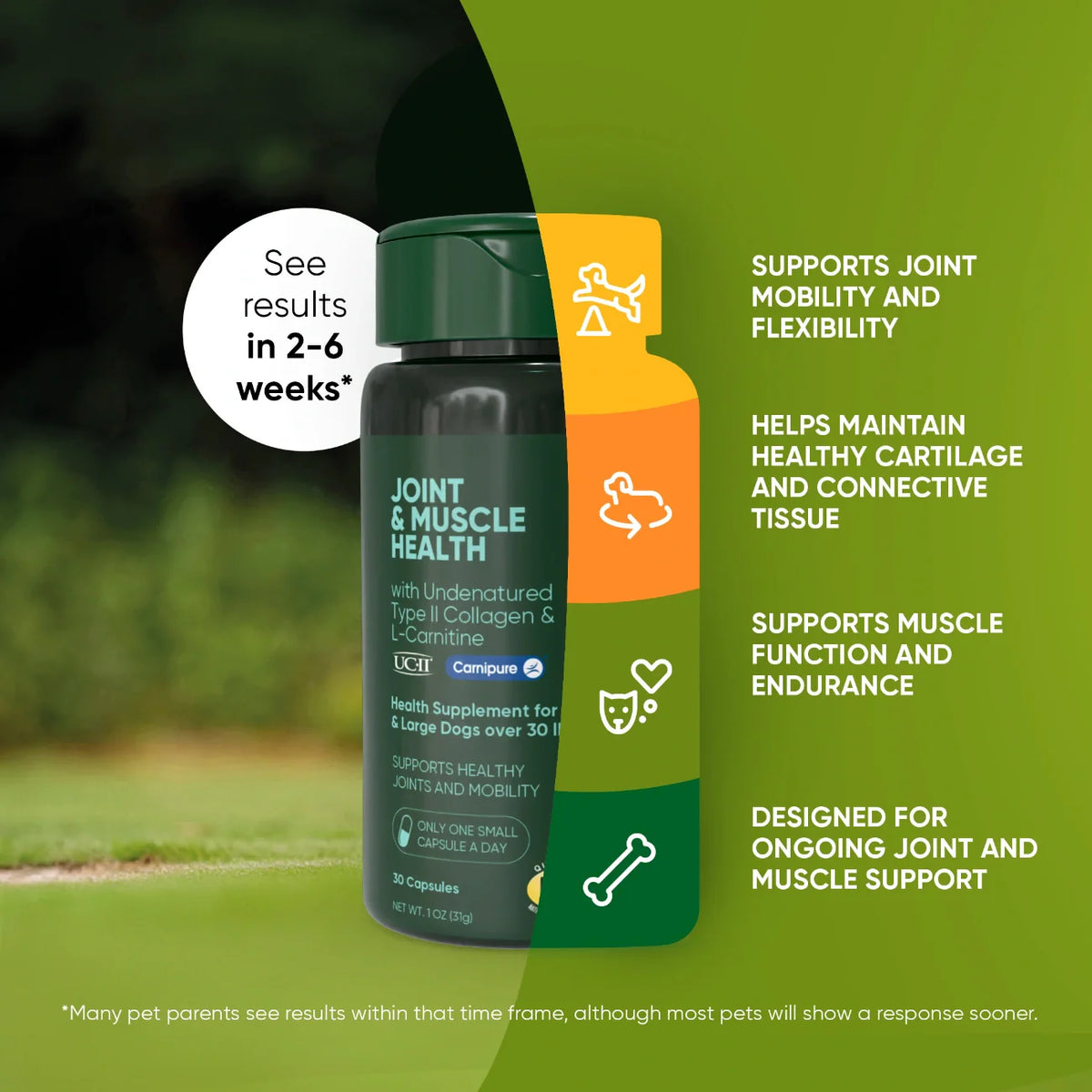 UC-II & L-Carnitine Capsules for Medium and Large Dogs