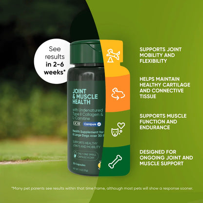 UC-II & L-Carnitine Capsules for Medium and Large Dogs
