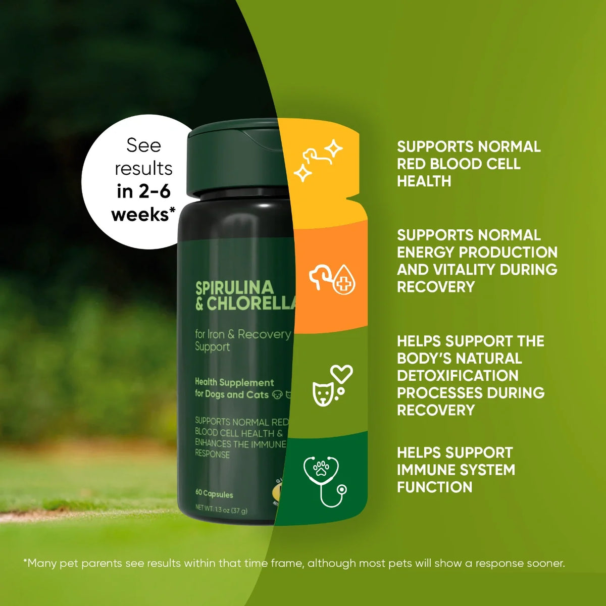 Spirulina & Chlorella Supplement for Dogs and Cats