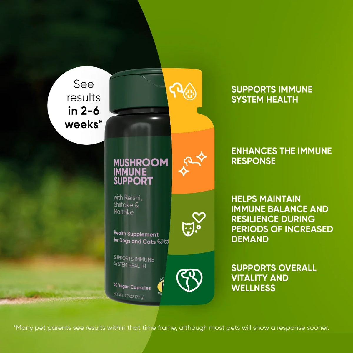 Reishi, Shiitake & Maitake Mushroom Supplement
