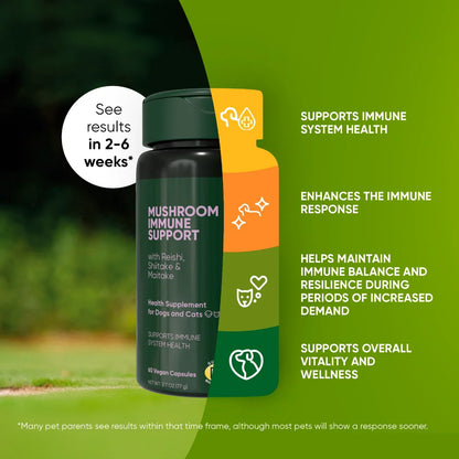 Reishi, Shiitake & Maitake Mushroom Supplement
