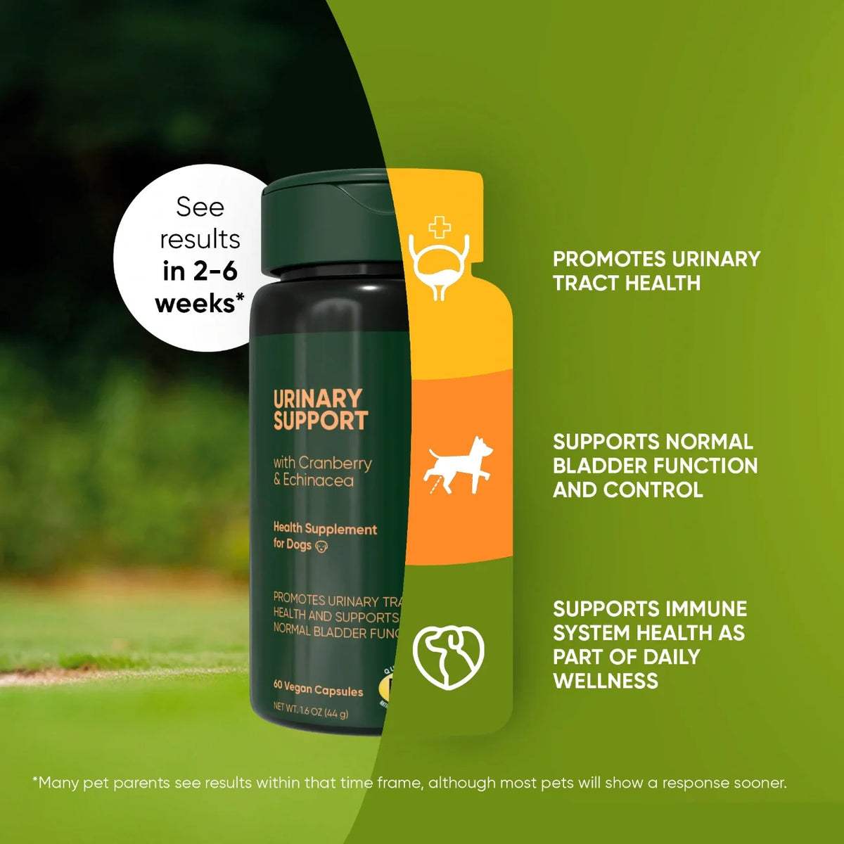 Cranberry, Echinacea & Vitamin C Supplement for Dogs