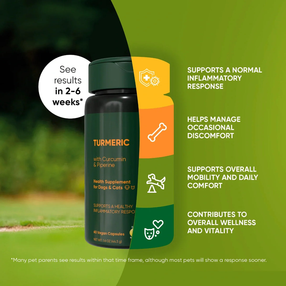 Turmeric, Black Pepper & Vitamin C Supplement