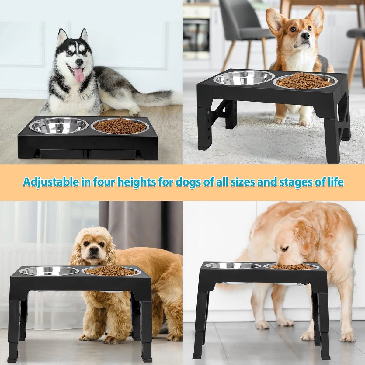 Adjustable Elevated Dog Bowl Stand with Steel Dishes
