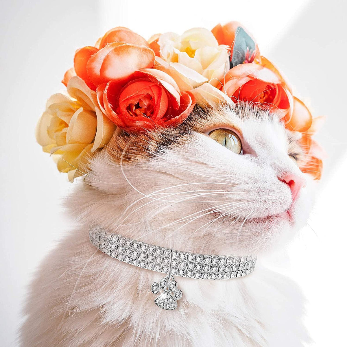 Crystal Elastic Cat Collar Necklace