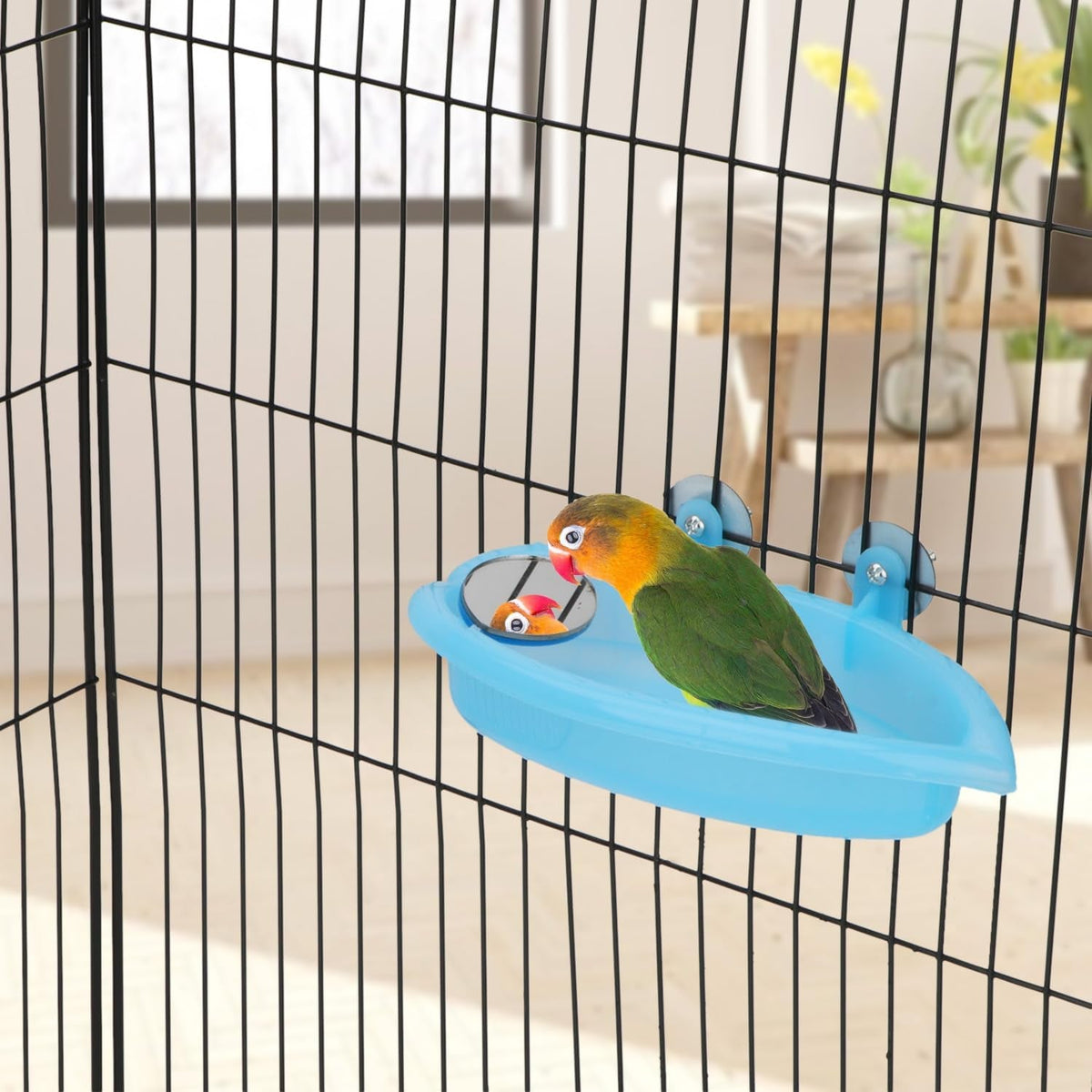 Portable Bird Bath with Mirror