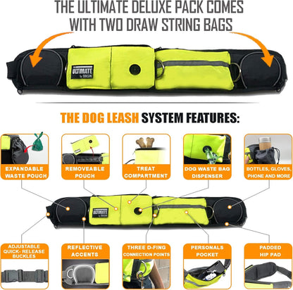 Hands Free Dog Leash Two Dogs Double Bungee Reflective Running Kit