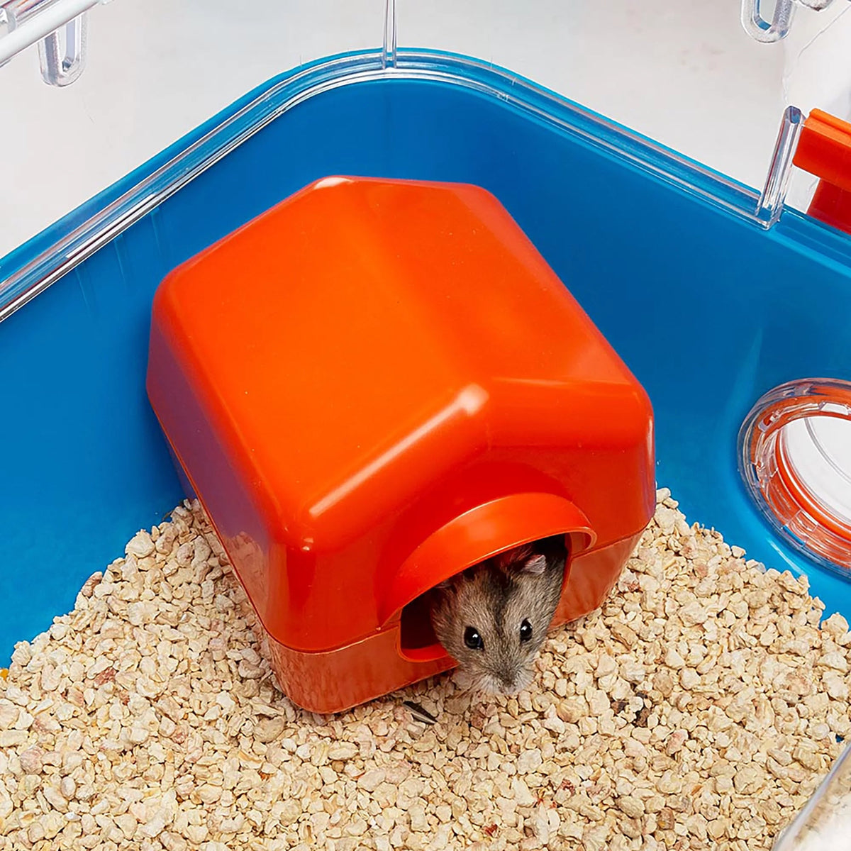 Combi 2 Starter Hamster Cage with Accessories, Blue