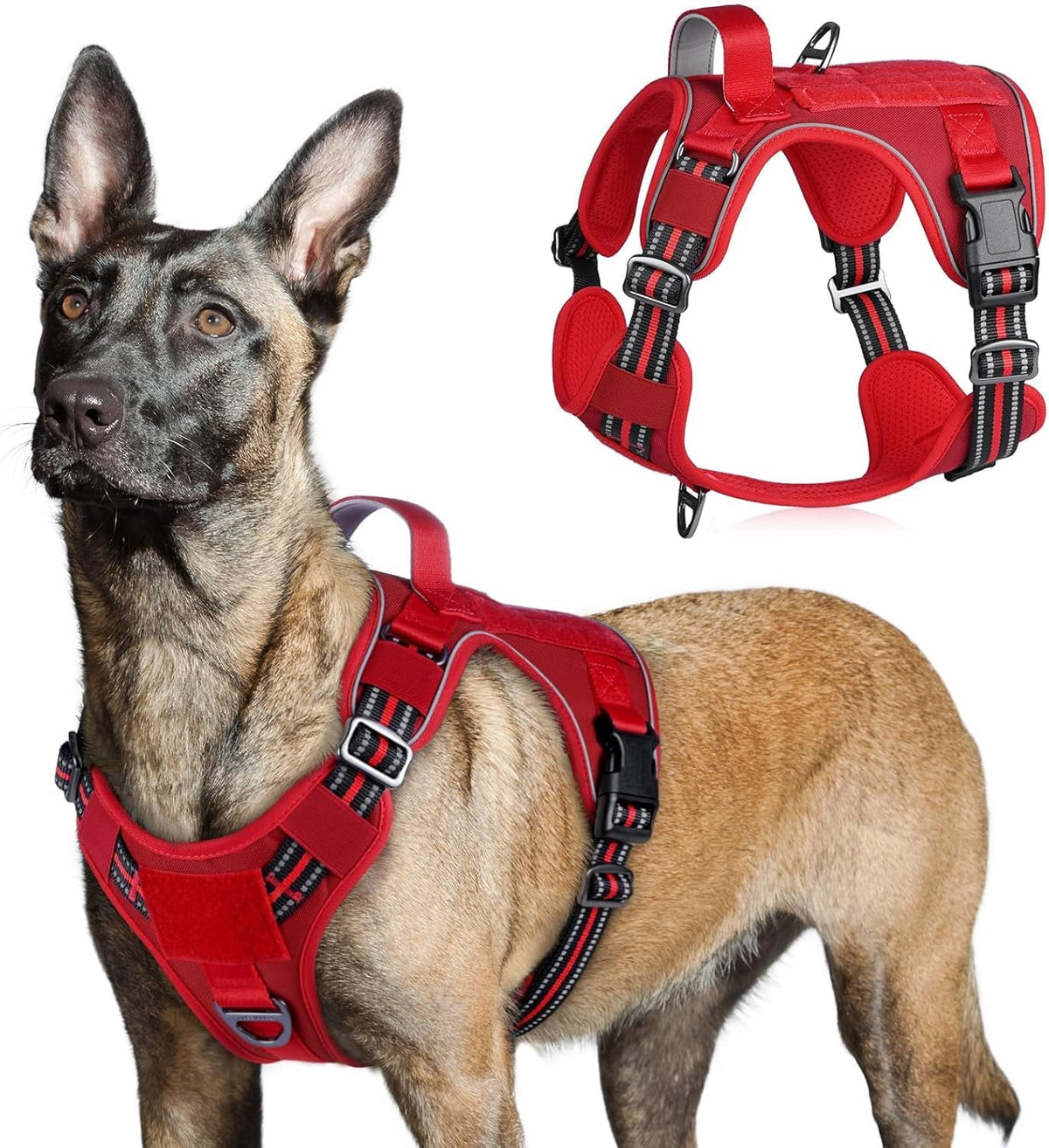 MOLLE Tactical No-Pull Dog Harness, Medium to Large