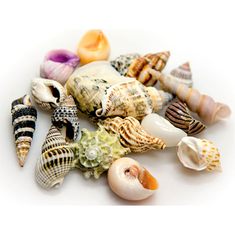 V8H8A344B5B8A8289E92DF75597CB952950R7450817P1