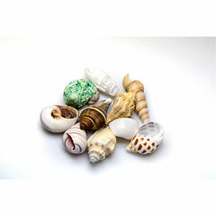 V6H07D9D7E9B25BD56DB3FE0A1EAF6ED6ECR7450831P2