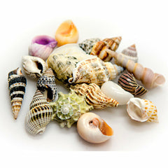 V6H56CA213F760CCDF486BBB10493338110R7450840P2