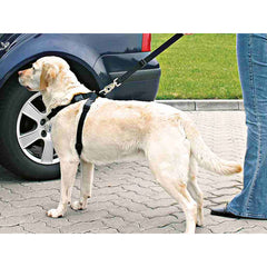 V5H8D8EAFB1807803036216FAE6508B5C5AR7459721P2