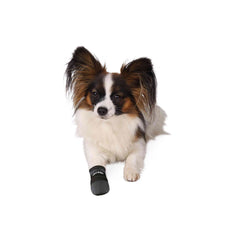 V3H06DF7C079ACC00966AFAA5AA969C3464R7440607P3