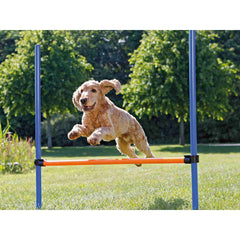 V7H4B2EBBD0BE100514CA6C13F741A519C5R7442271P2