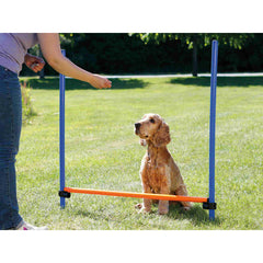 V5HA2BADE5AD441F0D2336FABDA05793442R7442281P5