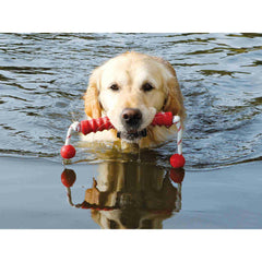 V5HEA8AA654B869B6D5212ADB2057BBBDE8R7443080P5