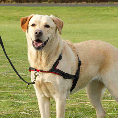 V6H716ABEA5AF4AE14F590340537C4D1615R7441892P8