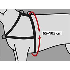 V6HE62A0C77FD9BBE56396691DB3F762E7BR7441896P2