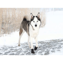 V3H0F025942EA9D19C1A67D7419D3CFA2F4R7439876P3