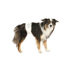 V4H7B9CD48C5F8BE6AC11FB0363A35B5ED5R7457486P3