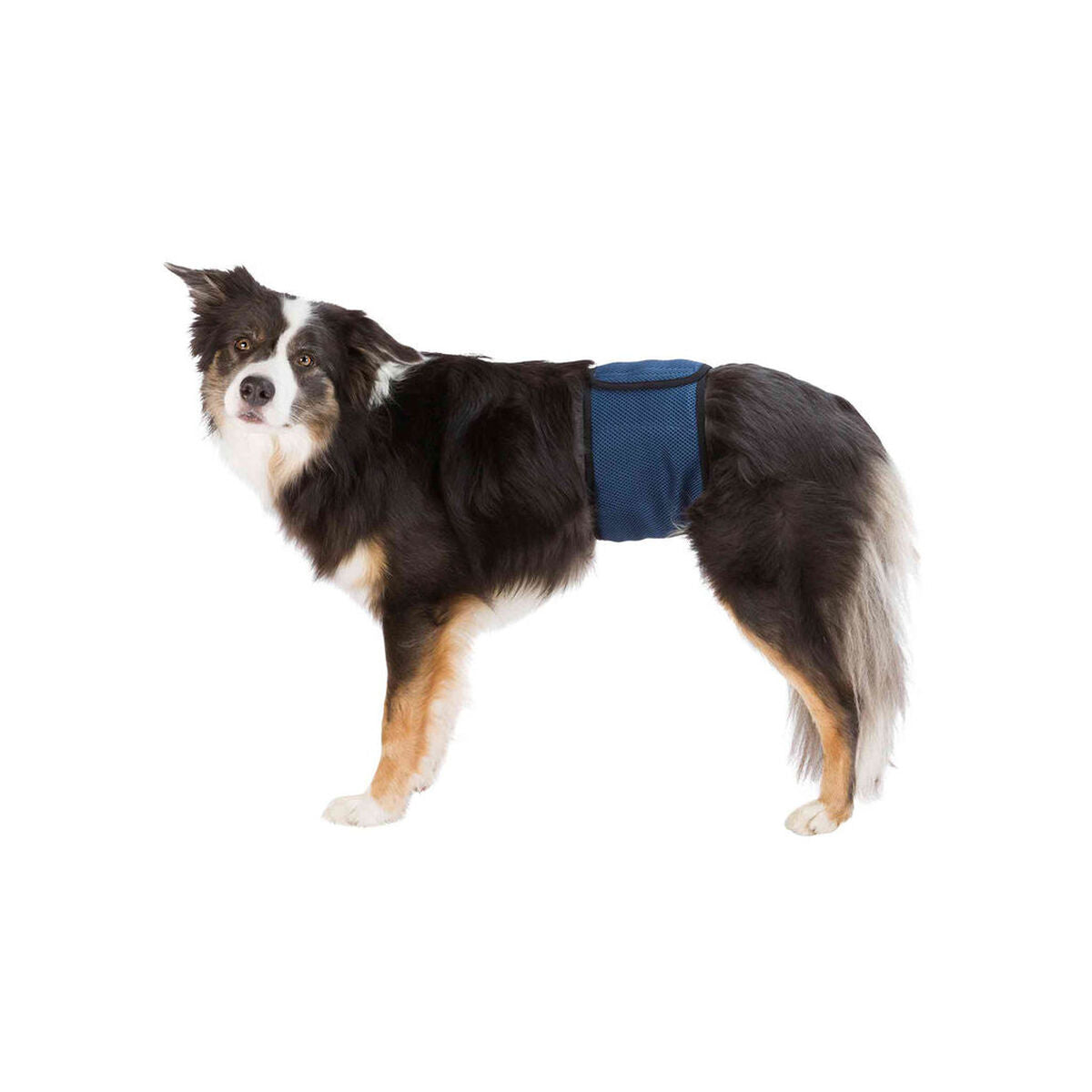 V5H6FC3A2536E5BA23729AAB7F42FCA9D59R7444048P1