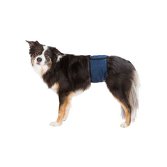 V7H6FC3A2536E5BA23729AAB7F42FCA9D59R7444048P1