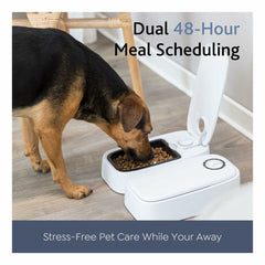 V3H83BF103D4BFA977F3EDD67DBE29A41D0R7462388P6