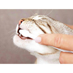 V4HBE484B6E8AA39332E4E3BCEFD784070CR7444250P8