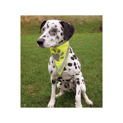 V5HE5951BB015F5BEE0BE5312A16CE52A40R7440304P3