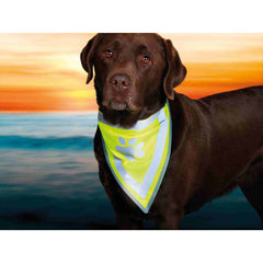 V5HD599EF489754C16536BE7CD305760F19R7440309P5