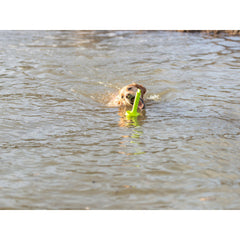 V6HD461802D8E9D4B9F6737655109C2538FR7443182P5