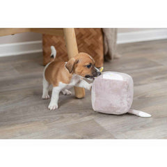 V7H13C8FB165DBB18571EFF8A2AE4DD3D7CR7456529P7