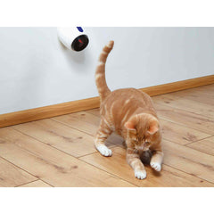 V5H70A80F3584E05DFDCA1F403759ACCCD3R7444892P2