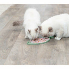 V5HA4FD73FD536DEC6015A7CDA135FA2A2BR7455928P6