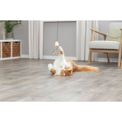 V5H5932D23D82DC7ABA1C1F8A250843C7E7R7459566P5