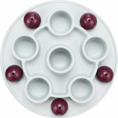 V5H2A31620CE36EAA0E4767C7394581B9FDR5769389P4