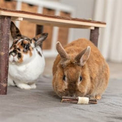 V5HC5063DB3A7E0F5BD938DB77AF22CCB0CR5448869P2