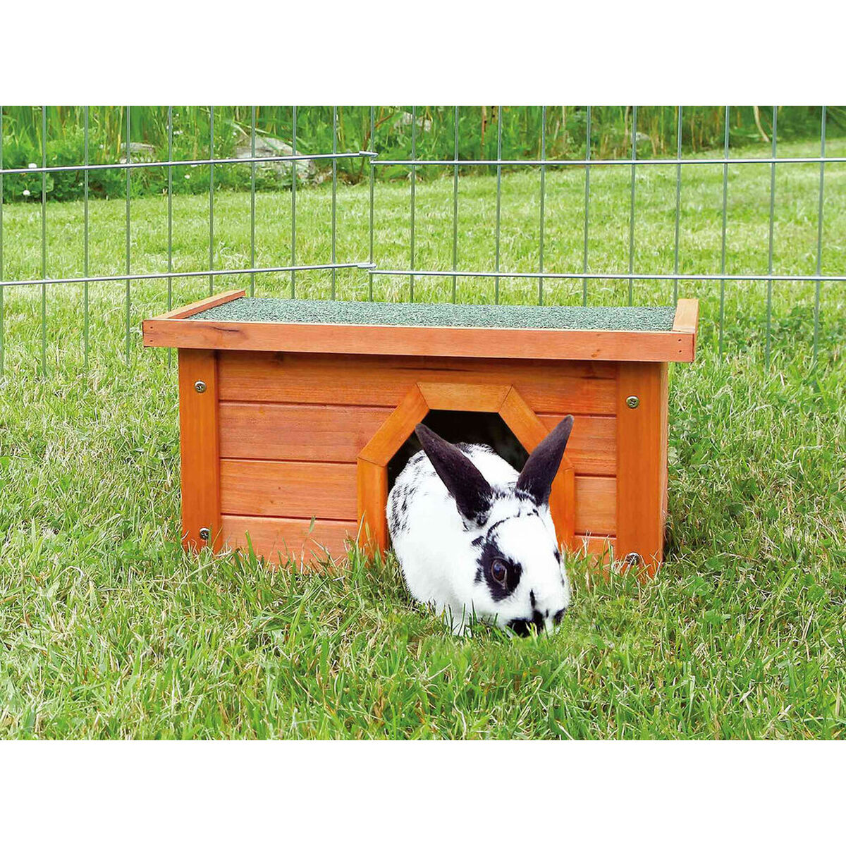 V5H180B1947F706E04F98E20E8E44B1AF65R7446301P1