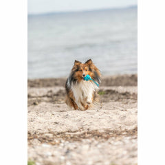 V3H62BCA9FA80CDE11CB64A7614D6AD6A55R7448909P8