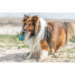 V3H38FAF6D242419E15C967A7529CB8635DR7448913P10