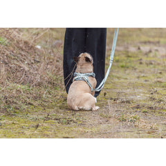 V5H510259E58214CB573FB872DC9D168C49R7463484P5